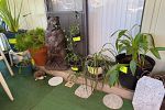 Sale Photo Thumbnail #33