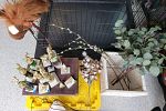 Sale Photo Thumbnail #16