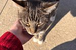 Sale Photo Thumbnail #9
