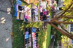 Sale Photo Thumbnail #8