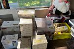 Sale Photo Thumbnail #9