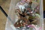 Sale Photo Thumbnail #13