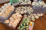 Sale Photo Thumbnail #31