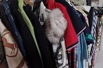 Sale Photo Thumbnail #42