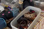 Sale Photo Thumbnail #7