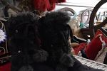 Sale Photo Thumbnail #71