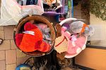 Sale Photo Thumbnail #8