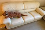 Sale Photo Thumbnail #25