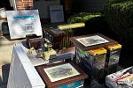 Sale Photo Thumbnail #10