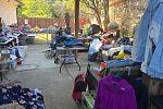 Sale Photo Thumbnail #12