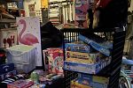 Sale Photo Thumbnail #5