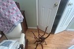 Sale Photo Thumbnail #39