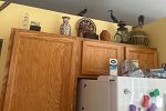 Sale Photo Thumbnail #30
