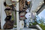 Sale Photo Thumbnail #12