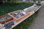 Sale Photo Thumbnail #11