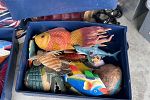 Sale Photo Thumbnail #27