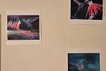 Sale Photo Thumbnail #66