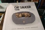 Sale Photo Thumbnail #19