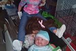 Sale Photo Thumbnail #10