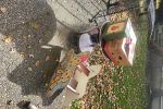 Sale Photo Thumbnail #30