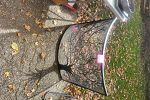 Sale Photo Thumbnail #28