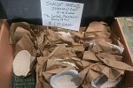 Sale Photo Thumbnail #13