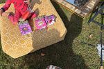 Sale Photo Thumbnail #4