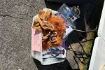 Sale Photo Thumbnail #5