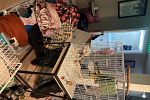 Sale Photo Thumbnail #20