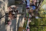 Sale Photo Thumbnail #21