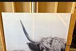 Sale Photo Thumbnail #52