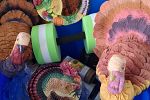Sale Photo Thumbnail #6