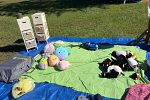 Sale Photo Thumbnail #16