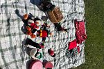 Sale Photo Thumbnail #9