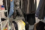 Sale Photo Thumbnail #35