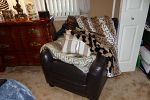 Sale Photo Thumbnail #168
