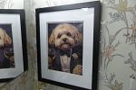 Sale Photo Thumbnail #77