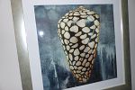 Sale Photo Thumbnail #73