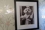 Sale Photo Thumbnail #79
