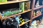 Sale Photo Thumbnail #38