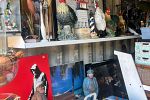 Sale Photo Thumbnail #53