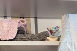 Sale Photo Thumbnail #5