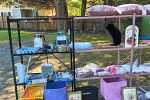 Sale Photo Thumbnail #6