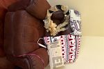 Sale Photo Thumbnail #30