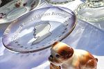 Sale Photo Thumbnail #24
