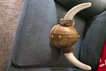 Sale Photo Thumbnail #61