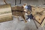 Sale Photo Thumbnail #42