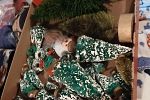 Sale Photo Thumbnail #12