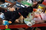 Sale Photo Thumbnail #10