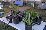 Sale Photo Thumbnail #2